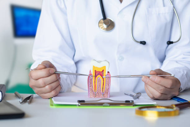 Best Emergency Root Canal Treatment in Bear Valley Springs, CA
